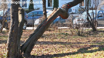 Femeie dezbrăcată, pe Bulevardul Castanilor