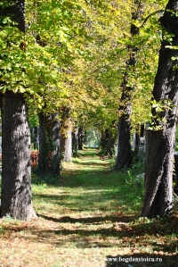 Ghici unde este aleea asta, in Ploiesti