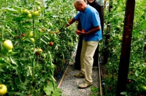 Ai sapte motive sa nu mai cultivi rosii, bai domnule presedinte