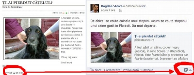 Cum faci experimentul care arată falşii iubitori de animale de pe Facebook